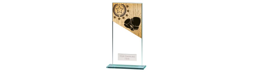 MUSTANG BOXING GLASS TROPHY - 5 SIZES - 11CM - 18CM MUSTANG BOXING GLASS TROPHY - 5 SIZES - 11CM - 18CM